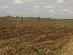 Land reclamation Gambela Ethiopia